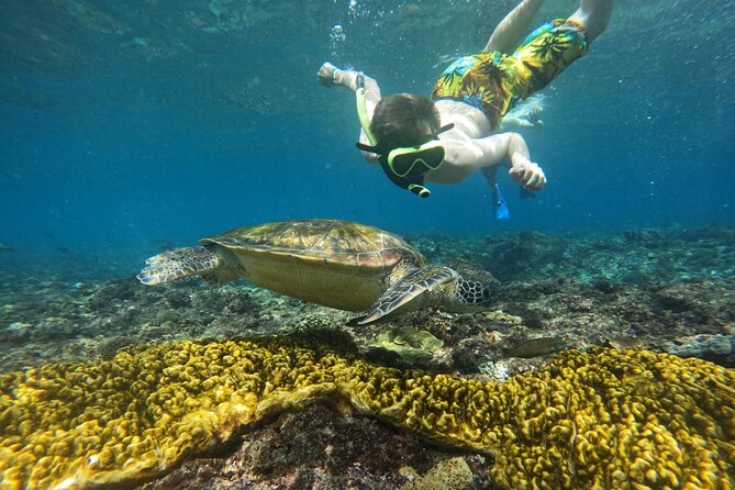 No:#1. Penida Island Tour And Snorkeling With Manta - Group size and fitness level: what to expect with a max of 28