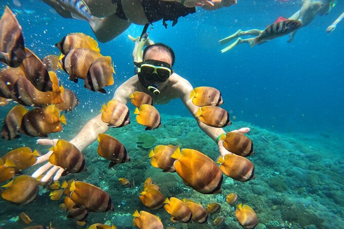 No:#1. Penida Island Tour And Snorkeling With Manta - Price and value: is $67.75 really fair for a Penida manta day?