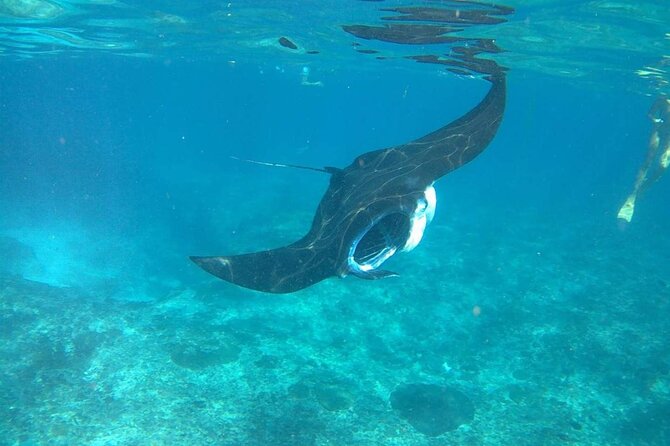 No:#1. Penida Island Tour And Snorkeling With Manta - Possible snags I’d plan for: gear condition and driver communication