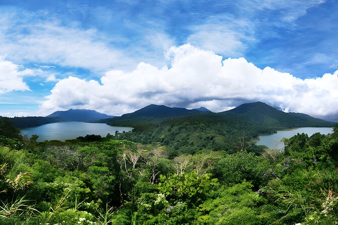 North Bali Tour - Visiting Rice Terrace, Lake, Waterfall, Temple and Hot Spring - Door-to-door private logistics from Seminyak
