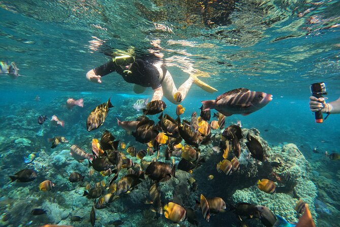 Nusa-Penida customize Tour - All inclusive - Sanur Harbour and the boat ride: prep for motion and crowds