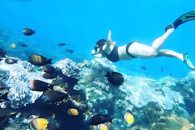 Nusa Penida Island Beach Tour With Snorkeling - Departure From Bali Island - Speedboat Transfer: Saving Time, Accepting the Crowds