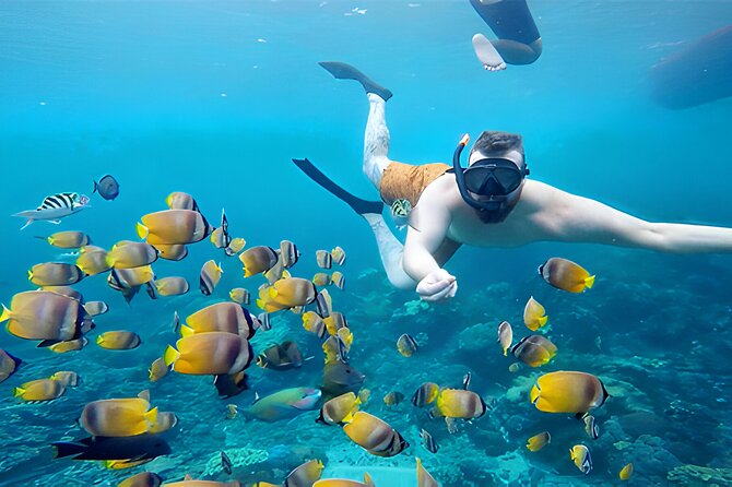 Nusa Penida Island Beach Tour With Snorkeling - Departure From Bali Island - Kelingking Beach Platform and the Low-Tide Reality Check
