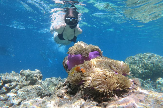 Nusa Penida Island Tour Package With Snorkeling - Key things to know before you go