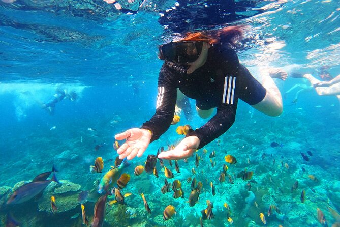 Nusa Penida Island Tour Package With Snorkeling - Who this tour suits best