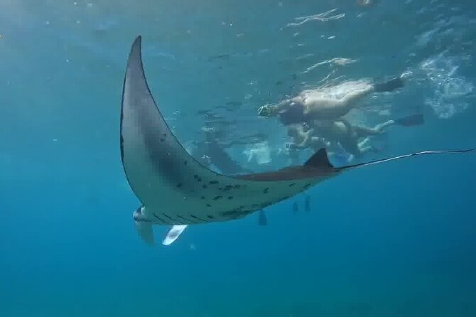 Nusa Penida Land Tour and 4 Points Snorkeling with Manta - Key Highlights You’ll Feel on the Day