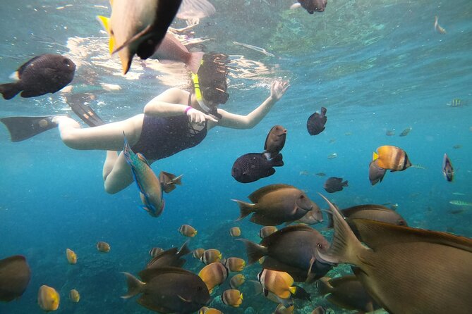 Nusa Penida Land Tour and 4 Points Snorkeling with Manta - Kelingking Beach: The Iconic Clifftop View on a Time-Block
