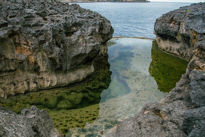 Nusa Penida One Day Trip to Instagrammable Spot by Penidago - Kelingking Beach: the cliff-icon stop (and where your time goes)