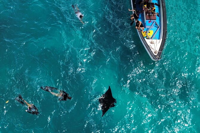 Nusa Penida Private Snorkeling and West Tour Start from Bali - Key Things I’d Put on Your Radar