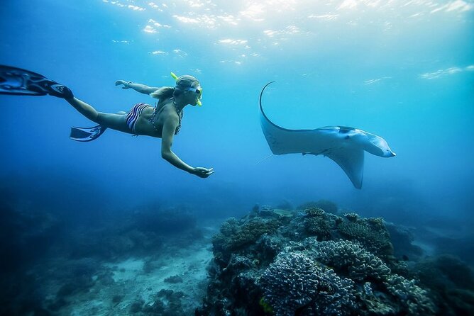 Nusa Penida Private Snorkeling and West Tour Start from Bali - Snorkeling at Manta Bay, Crystal Bay, and Gamat Bay
