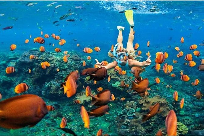 Nusa Penida Trip with Snorkeling all-Inclusive - Why this 8-hour Nusa Penida plan feels calmer than DIY