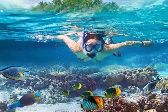 Nusa Penida West trip with snorkeling at 3 spot with Free Meals - Key Highlights You’ll Feel During the Day
