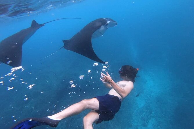 One Day Snorkeling Trip & West Tour Nusa Penida by Penidago - Kelingking Beach at 13:30: The Afternoon Payoff