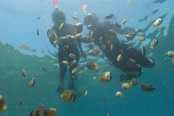 One Day Snorkeling Trip & West Tour Nusa Penida by Penidago - Price and Value: Why $25 Can Make Sense