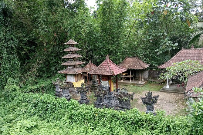 Penglipuran Village Waterfall Swing Private Guided Tour - Price and value: what $29.33 really buys you in practice