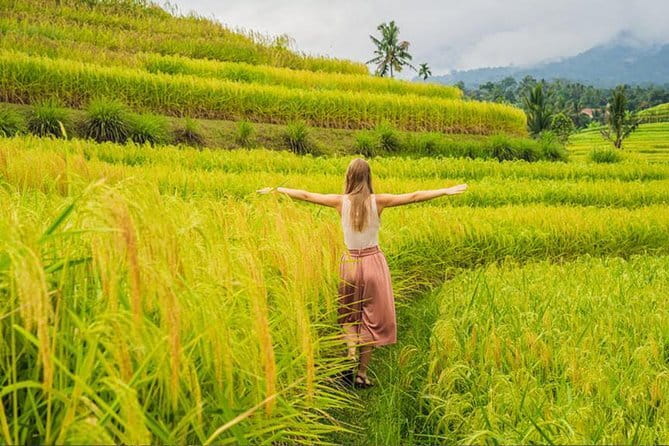 Private Airport Transfers by top trusted Drivers in Bali - Why a Private Bali Airport Transfer Beats the Usual Airport Chaos