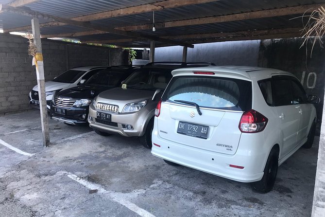 Private Bali Car Charter with Driver up to 6 People - Where This Charter Can (and Can’t) Go