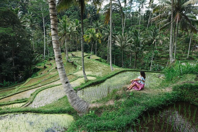 Private Bali Car Charter with Driver up to 6 People - What’s Included vs What You Pay Separately