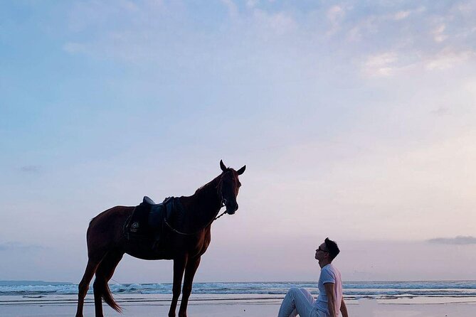 Private Bali Horse Riding In Seminyak Beach - What you’ll actually do during the ~1-hour ride