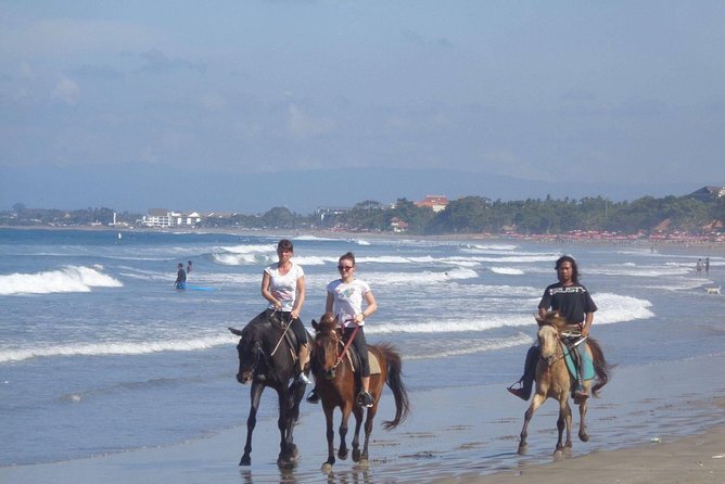 Private Bali Horse Riding In Seminyak Beach - Safety and horse-care concerns: what to check before you mount