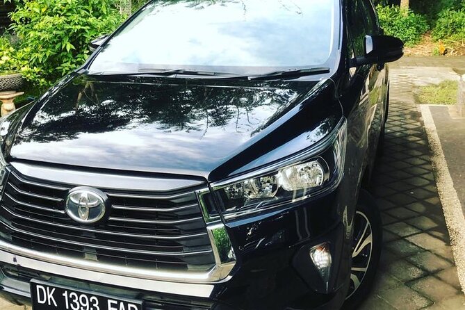 Private Car Charter in Bali with an English-speaking Driver - Stop-by-stop: how this charter works around Bali’s coast and Ubud