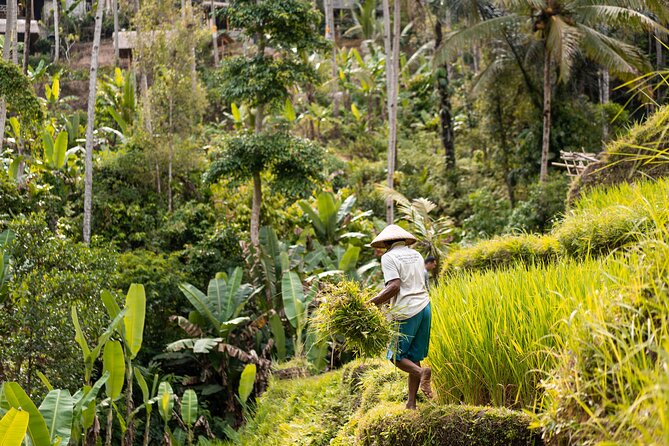 Private Customized Trip to Ubud - Private driver + real flexibility in Ubud