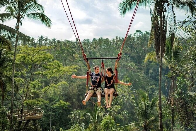 Private Day Tour In Ubud With Jungle Swing All Inclusive - Key things to know before you go
