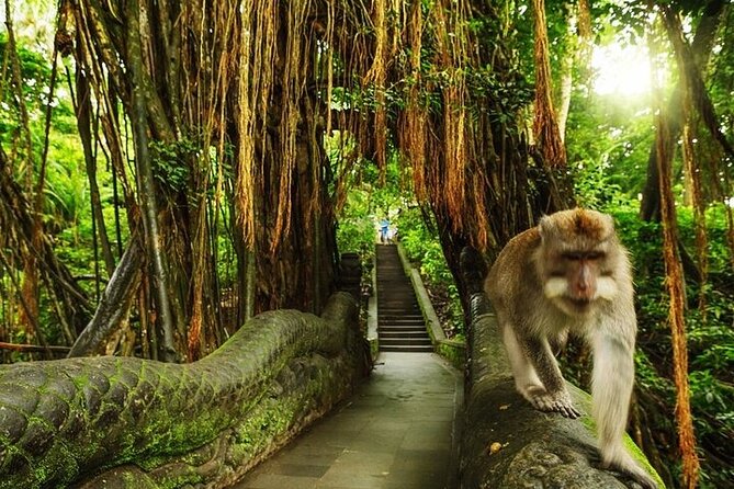 Private Day Tour In Ubud With Jungle Swing All Inclusive - Private pickup in Seminyak and the drive to Ubud