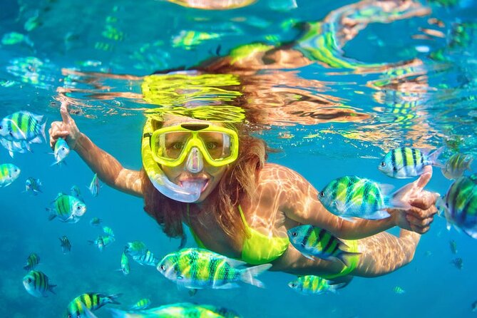 Private Full-Day Lovina Dolphin Watching and Snorkeling Boat Tour - Handara Iconic Gate: big photos, included ticket, and lunch calories