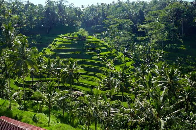 Private Full-Day Tour: Explore The Villages Of Ubud Bali - Key highlights at a glance