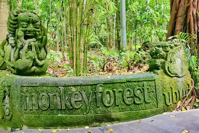 Private Full-Day Tour in Bali & FREE WIFI - Private Full-Day Bali: why this format works