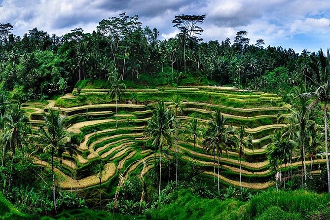 Private Full Day Tour In Ubud Bali - Celuk Village in 30 Minutes: Silver and Gold Crafts, Up Close