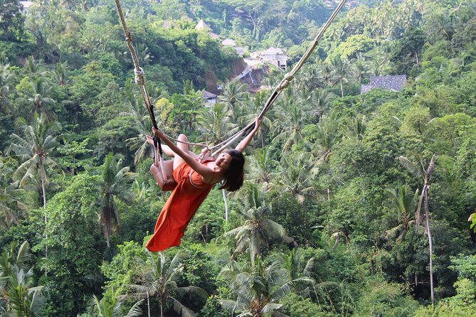 Private Full Day Tour to Ubud Highlights with Giant Swing - Why this Ubud Highlights day feels easier than DIY