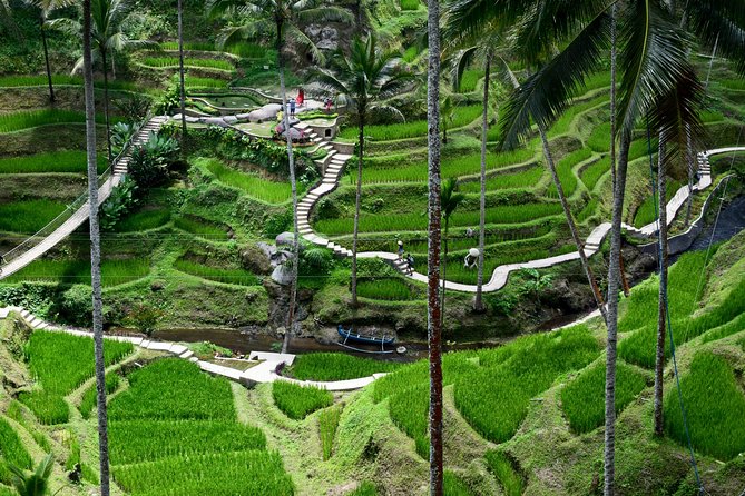 Private Full Day Tour to Ubud Highlights with Giant Swing - Tegenungan Waterfall: trail walk, photo moments, and optional swim