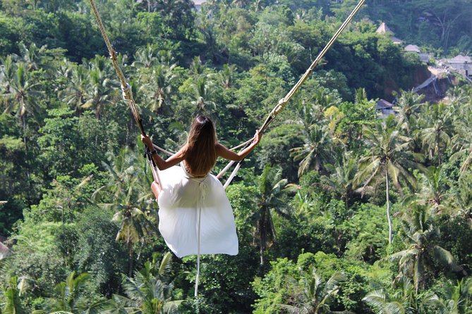 Private Full Day Tour to Ubud Highlights with Giant Swing - Who this tour is best for (and who should skip it)
