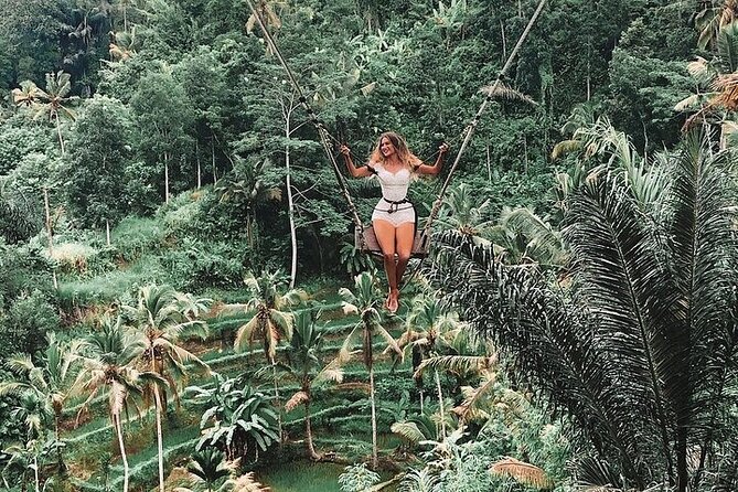 Private Guided Tour: The Best Of Ubud With Jungle Swing - Price and value: what $56 buys you in Ubud