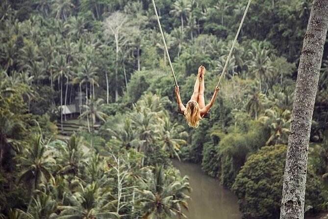 Private Guided Tour: The Best Of Ubud With Jungle Swing - Stop 1: Sacred Monkey Forest Sanctuary (800+ macaques in real time)