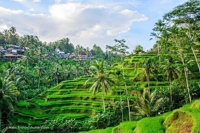 Private Guided Tour: The Best Of Ubud With Jungle Swing - Stop 3: Ubud Palace (photos where the story began)