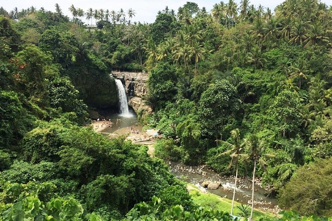Private Guided Tour: The Best Of Ubud With Jungle Swing - Stop 2: Ubud Art Market and a quick palace photo setup