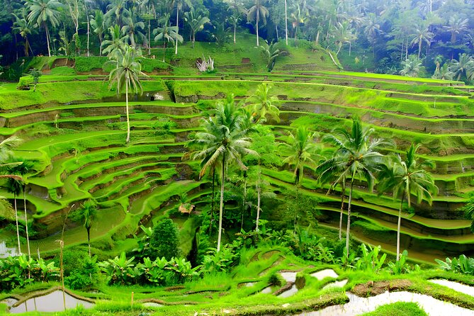 Private Half Day-Tour: Ubud Art Village Trip - Puri Saren Ubud Palace: the royal core in plain sight