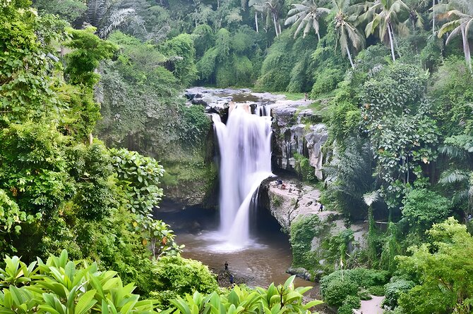 Private Half-Day Tour : Ubud Waterfall Tour Packages - Key highlights worth your attention