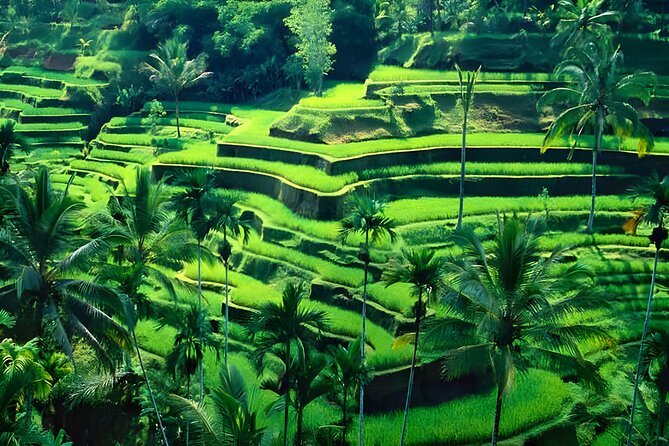 Private Half-Day Tour : Ubud Waterfall Tour Packages - Batuan Temple: a quieter temple stop with local feel