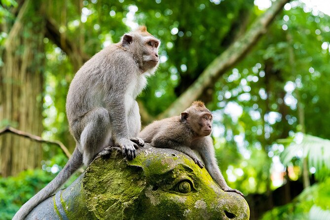 Private Inclusive Tours: 2 Days highlight of Bali - Day 2 Uluwatu Beaches: Melasti Ungasan and Padang Padang