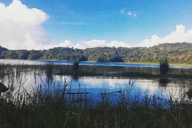 Private Munduk Waterfalls Trekking Tour - Morning pickup and that Kopi Luwak first step