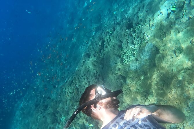 Private Nusa Penida Snorkeling Tour - Snorkeling on Nusa Penida: Manta Bay to Wall Point