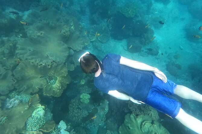 Private Nusa Penida Snorkeling Tour - Price and value at about $157.84 per person