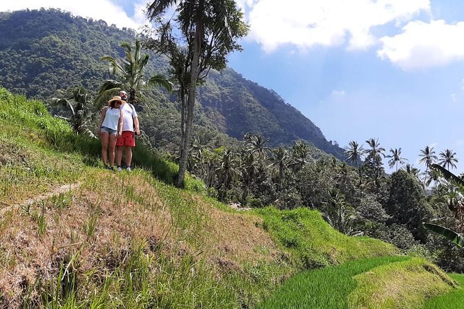Private Sekumpul Waterfalls Trekking Tour - What the Day Feels Like: Timing, Weather, and Pacing