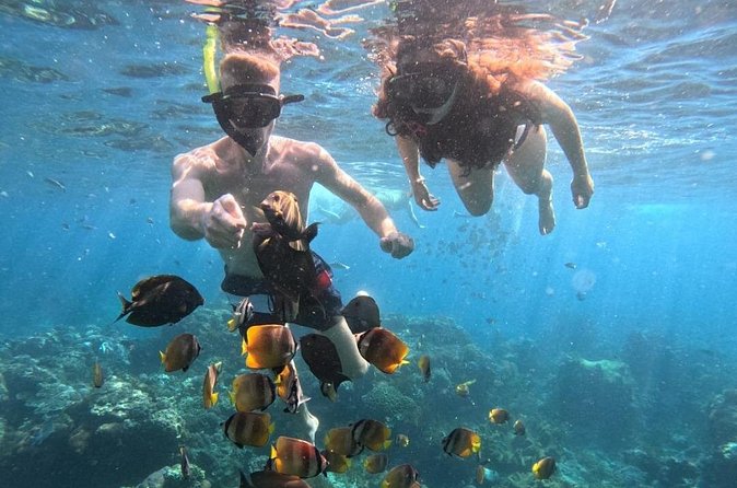 Private Snorkeling from Nusa Penida - Food, coffee, and a beach-club lunch that keeps you going