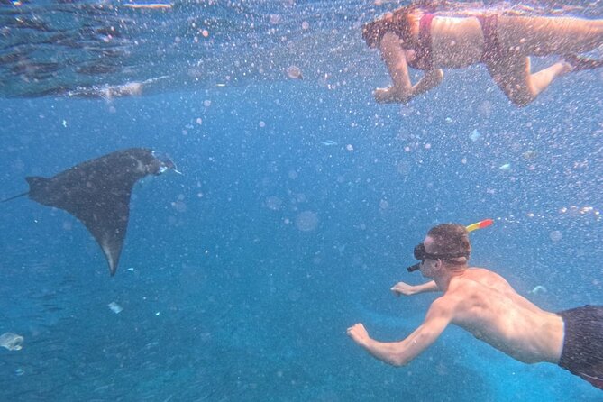 Private Snorkeling from Nusa Penida - The stop-by-stop plan: Manta Bay, Gamat Bay, Crystal Bay, Wall Point