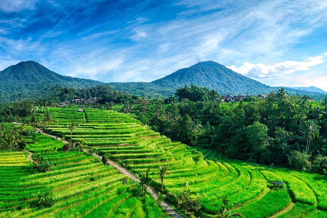Private Tour: Handara Iconic Gate, rice terrace & Ulundanu Temple - Why this Handara–Ulun Danu–Jatiluwih route works